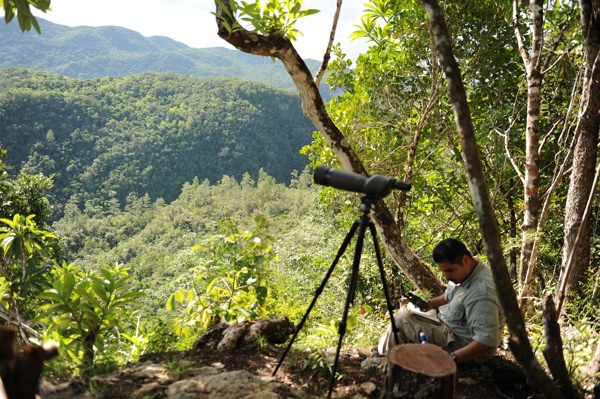 Roni Martinez on Howler Hill in Belize.